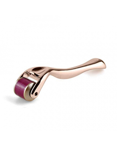 DRS25 Dermaroller System micro needle roller for face