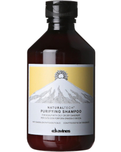 Davines valomasis šampūnas nuo pleiskanų PURIFYING 250 ml