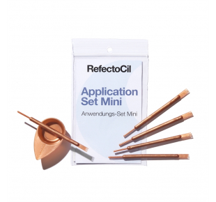 A set for mixing and applying paint - Color : Bronze