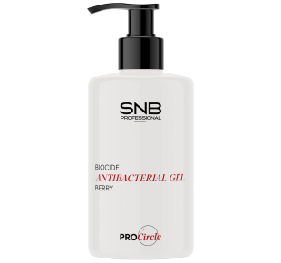 Antibacterial hand gel Berry 250 ml